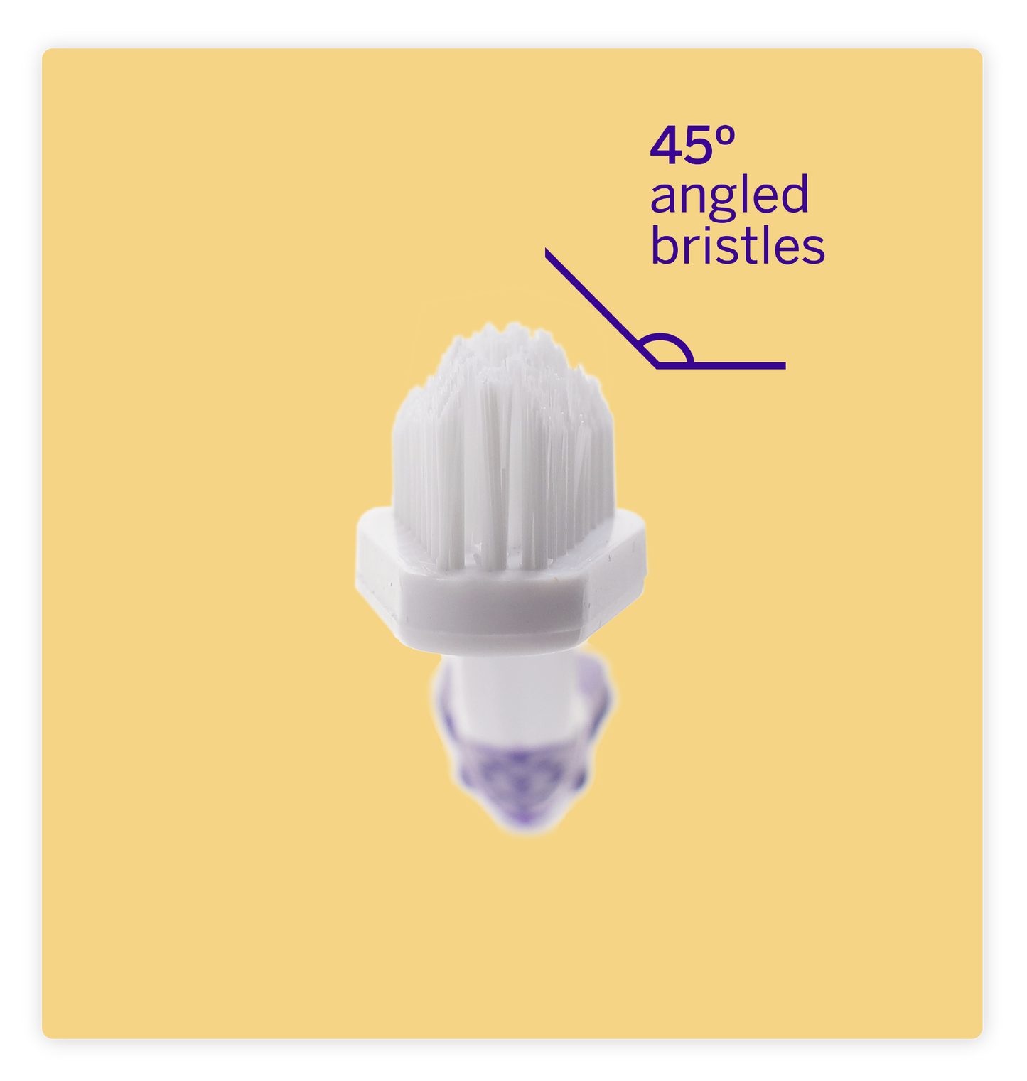 Cepillo de dientes para mascotas profesional Petsmile