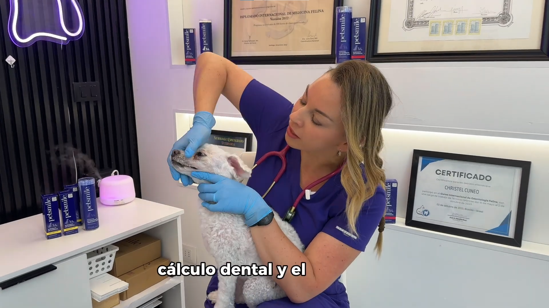 Cargar video: 